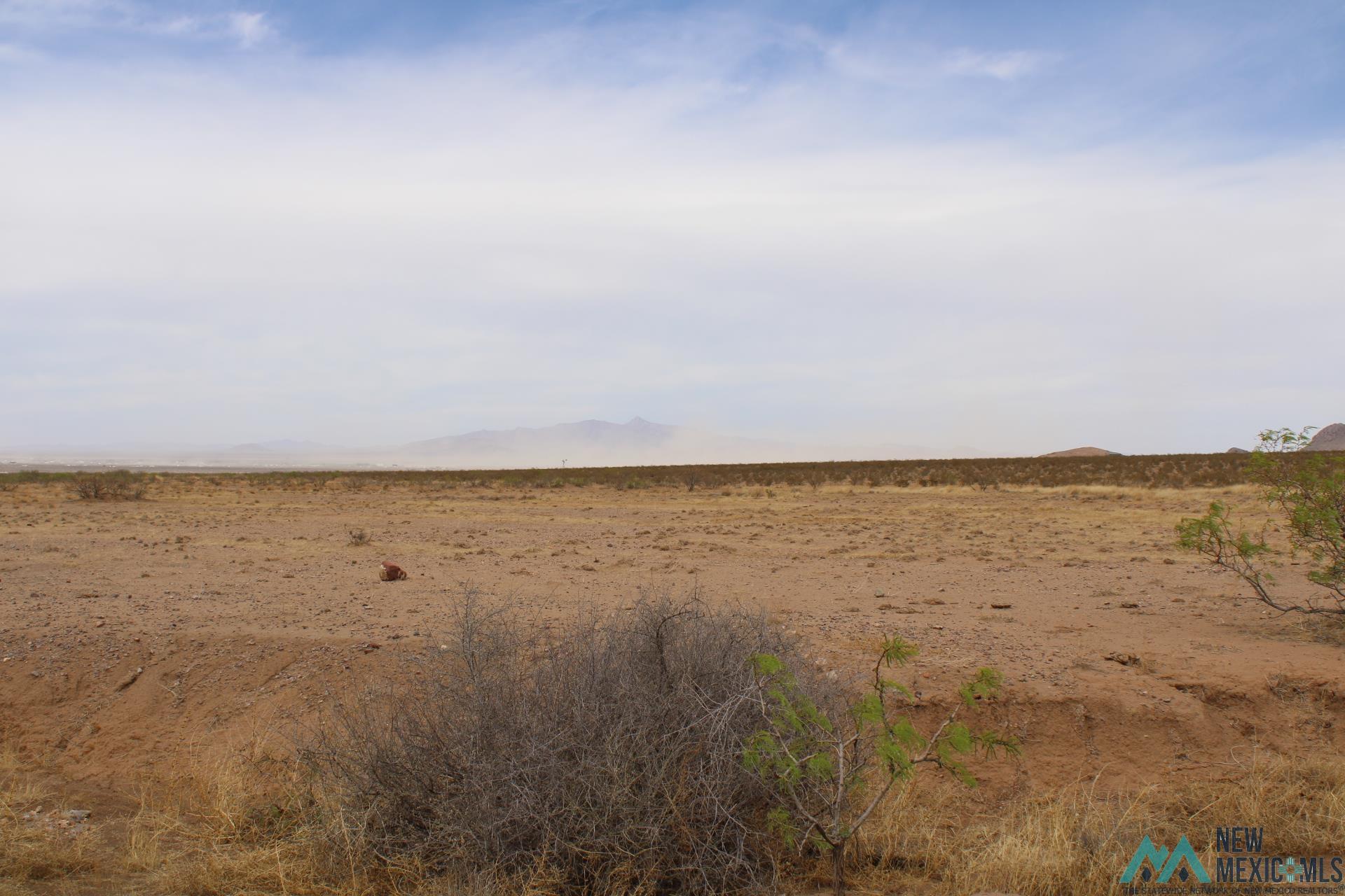 Monte Rd Se, Deming, New Mexico image 6