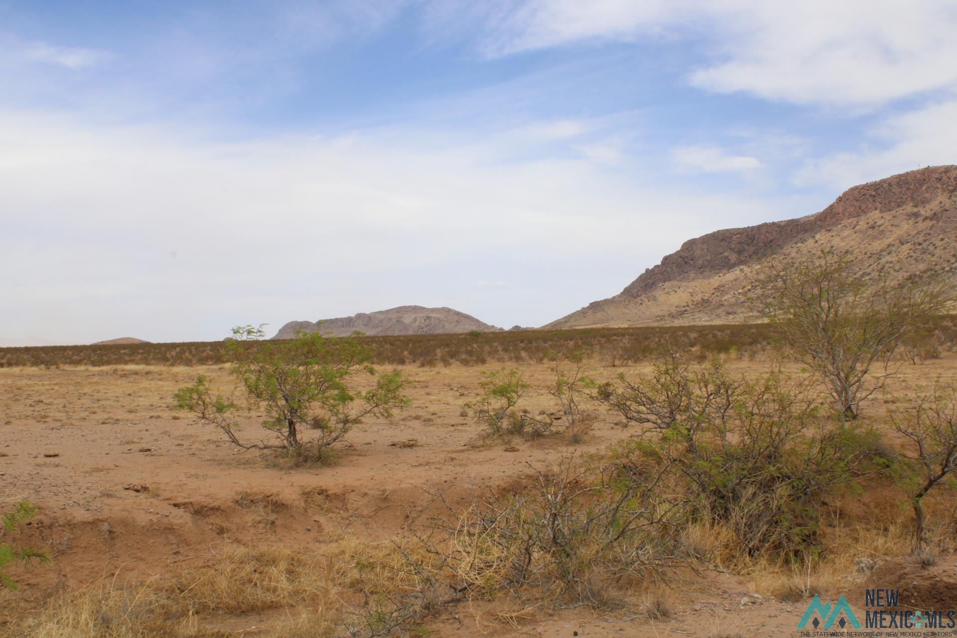 Monte Rd Se, Deming, New Mexico image 7