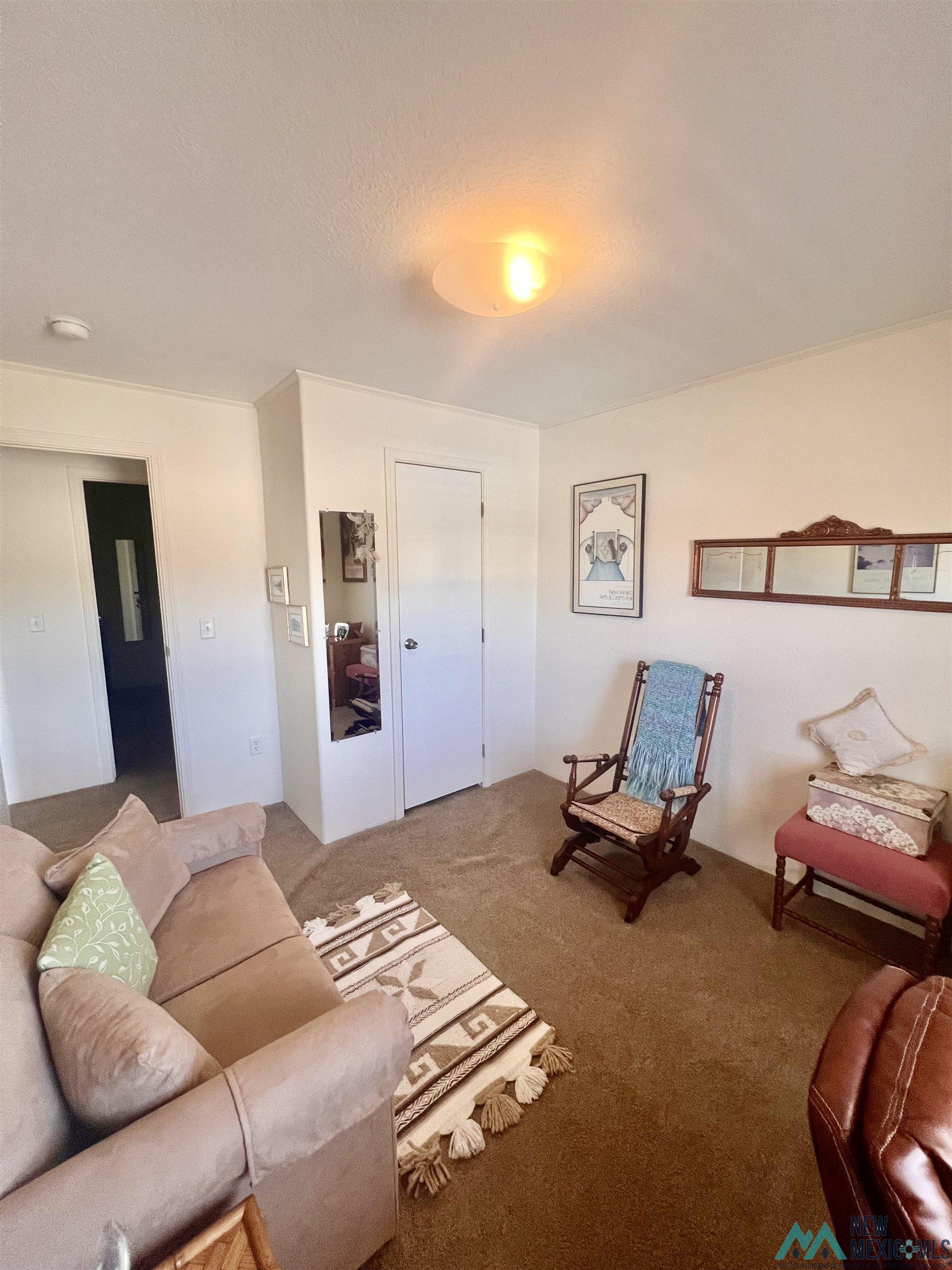 521 Catfish Street, Elephant Butte, New Mexico image 30