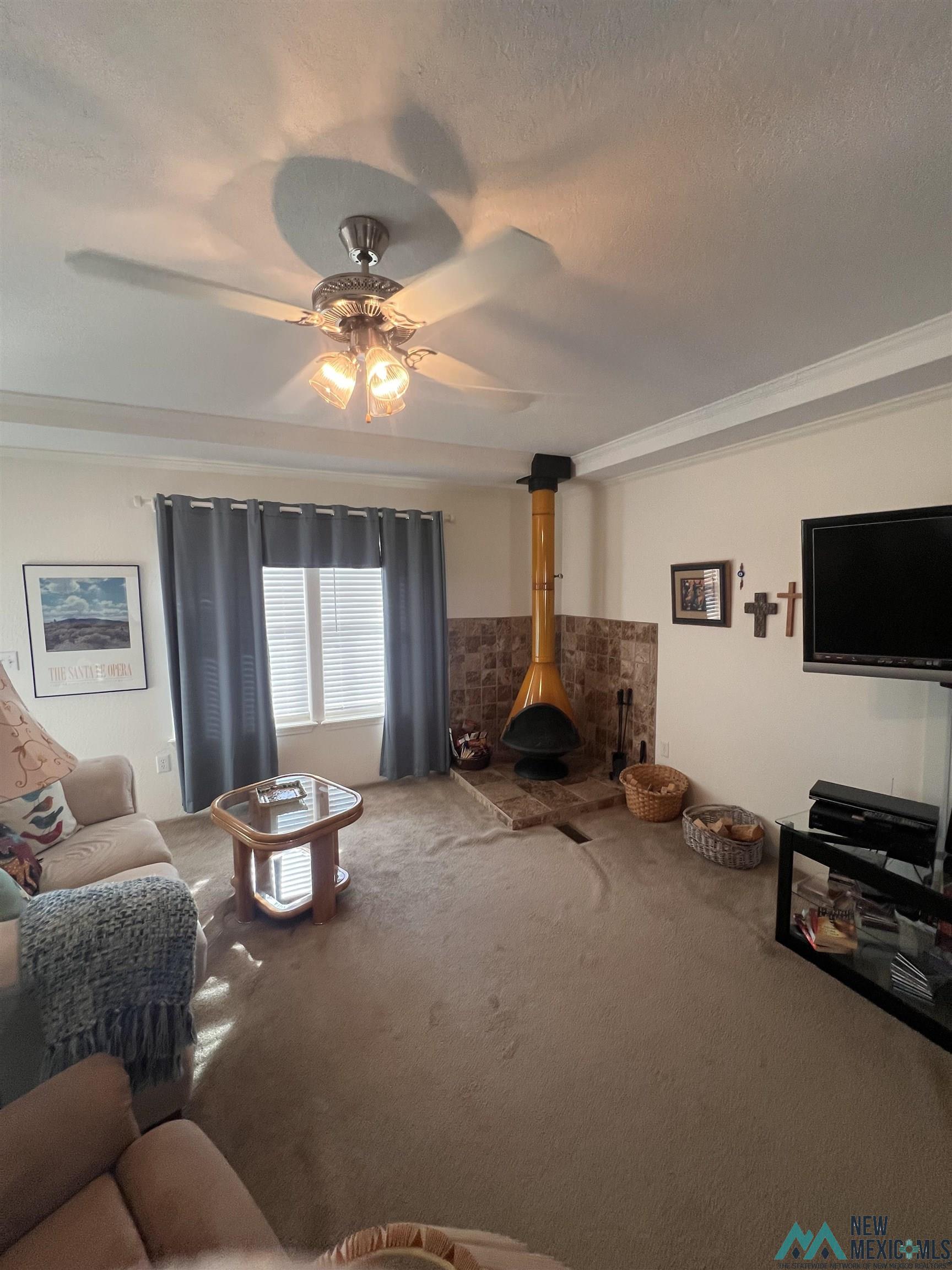 521 Catfish Street, Elephant Butte, New Mexico image 8