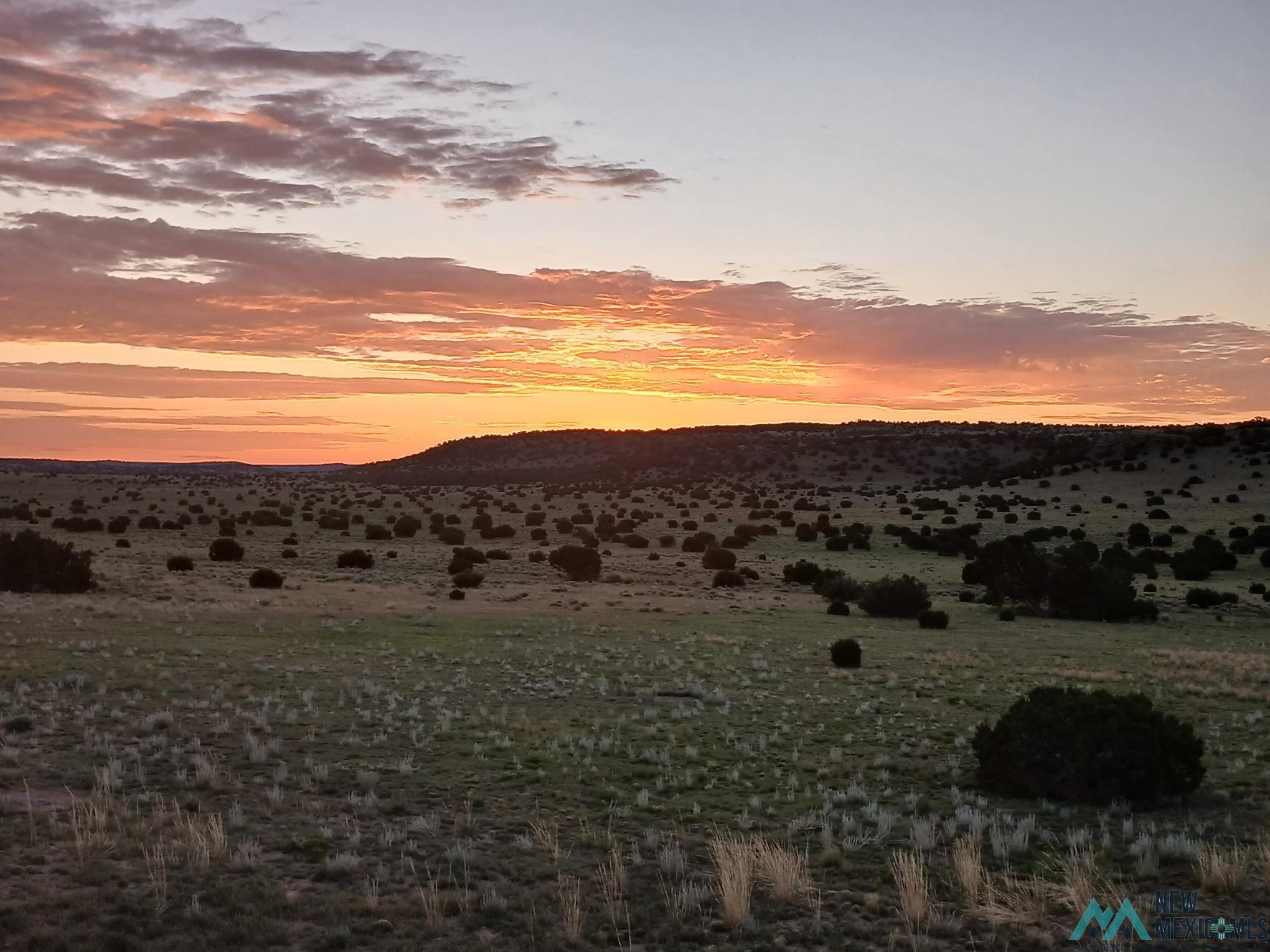 136 S Deer Road, Quemado, Texas image 33
