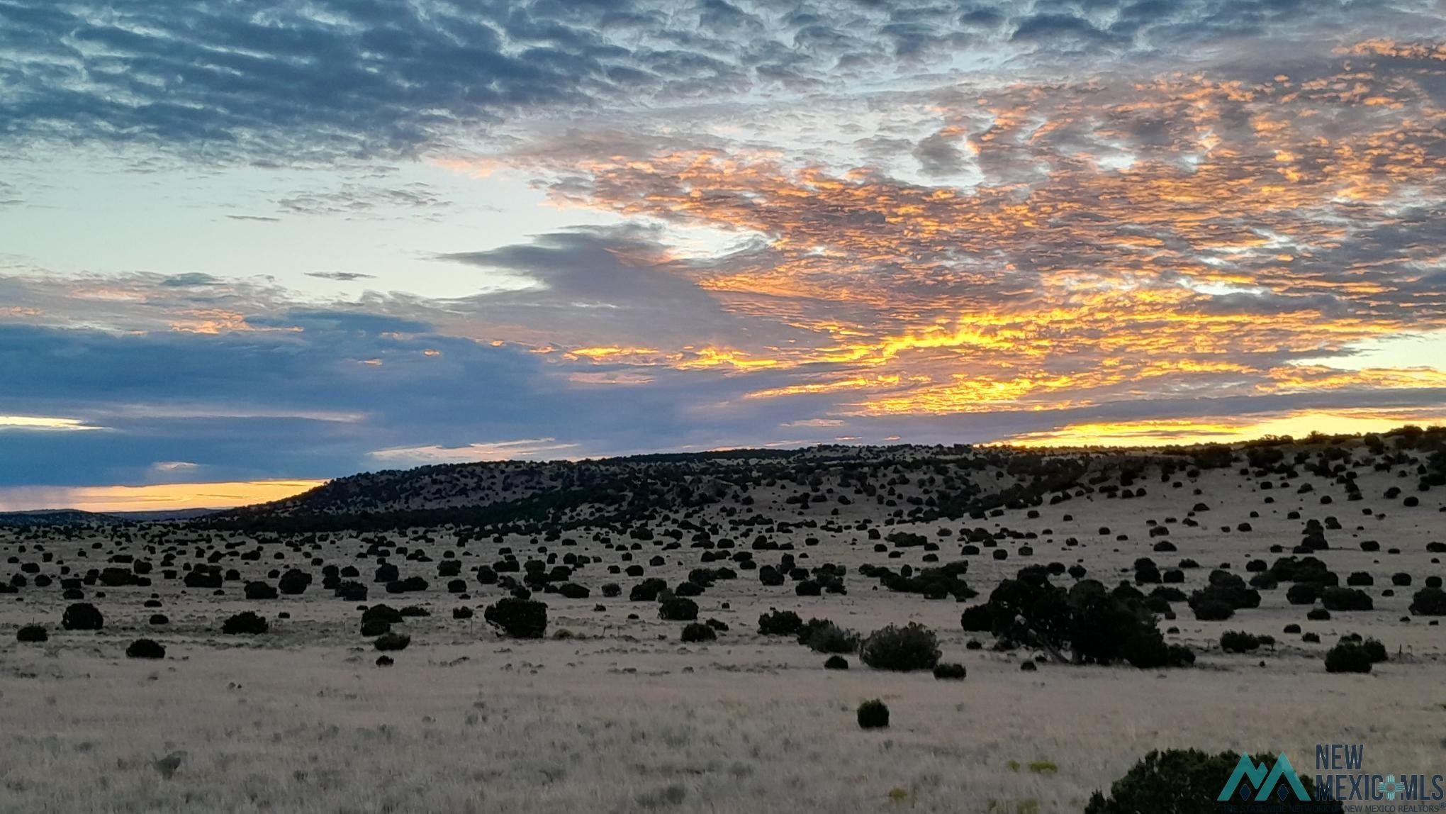 136 S Deer Road, Quemado, Texas image 31