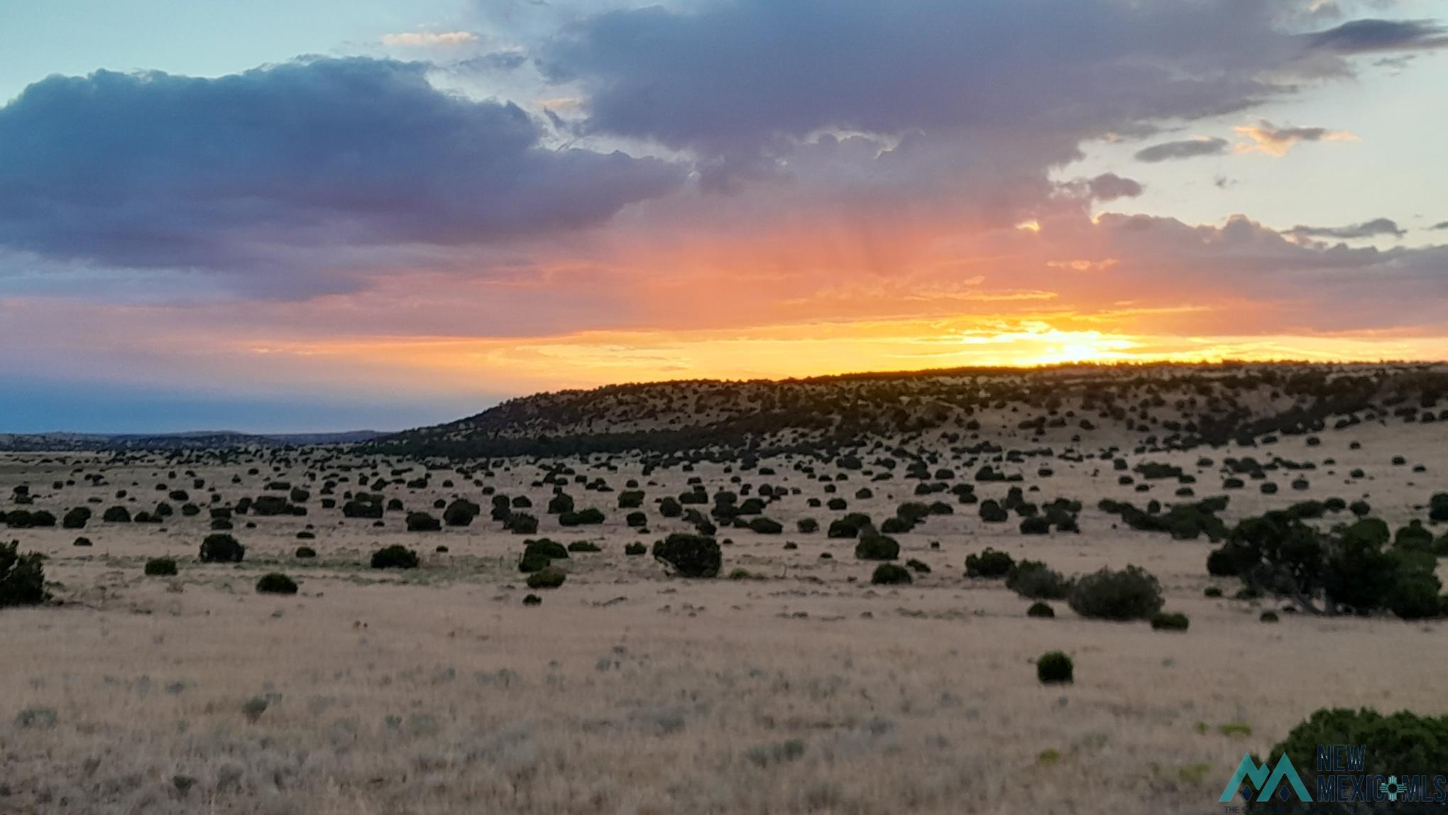 136 S Deer Road, Quemado, Texas image 32