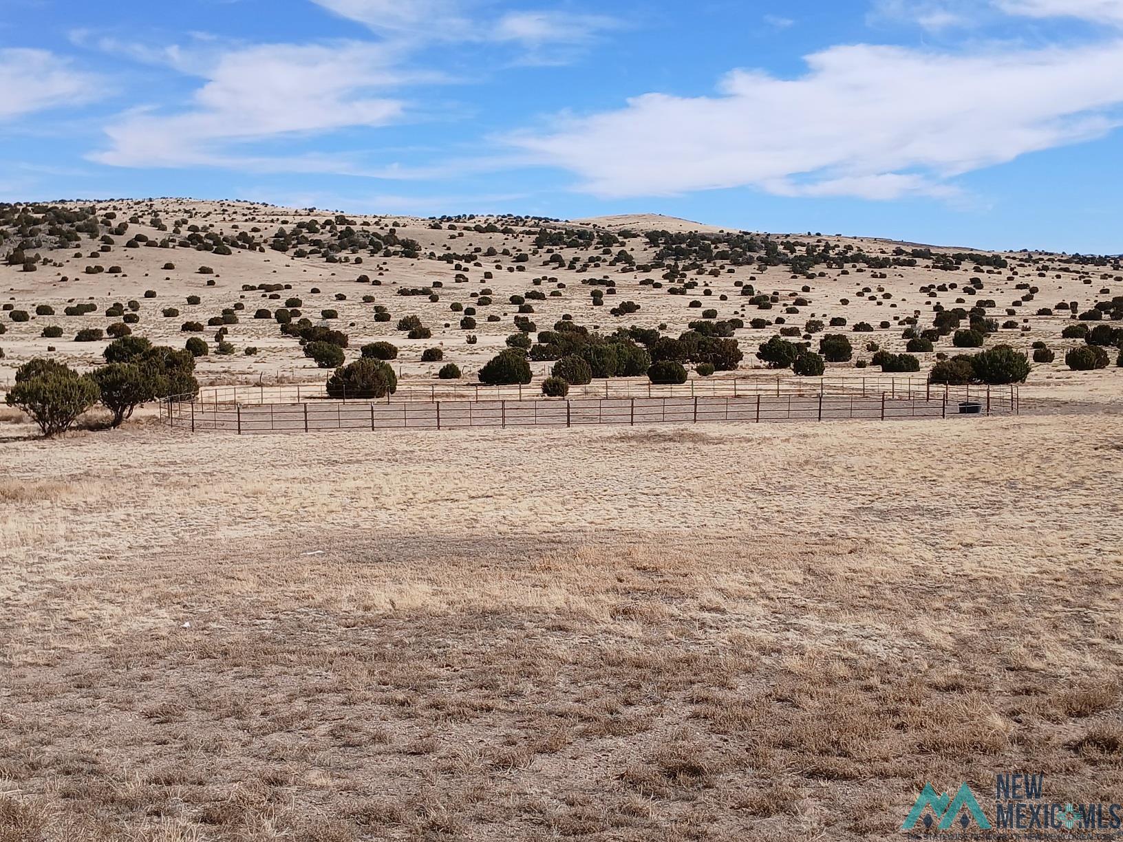 136 S Deer Road, Quemado, Texas image 28