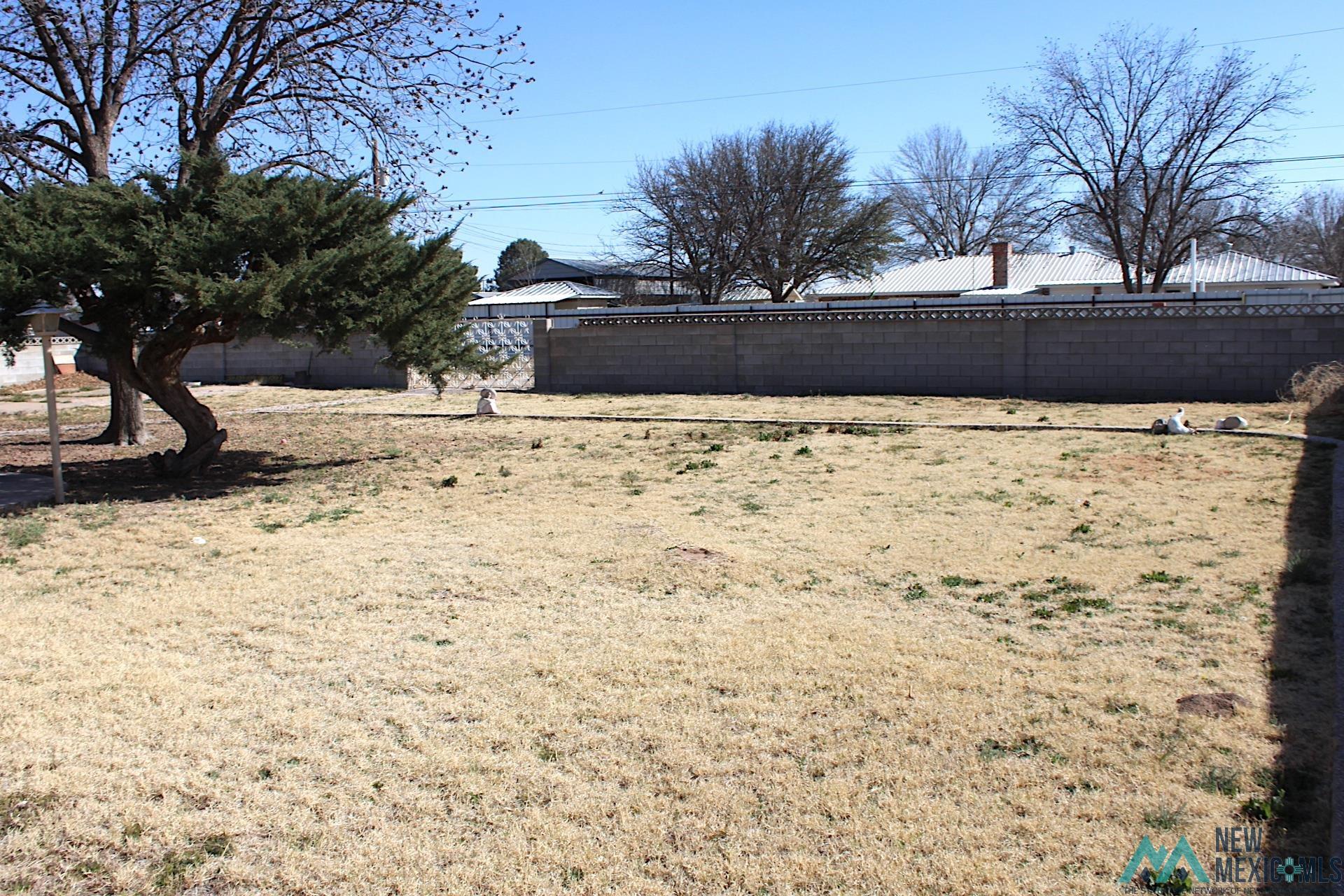 401 W Eva Street, Hobbs, New Mexico image 2
