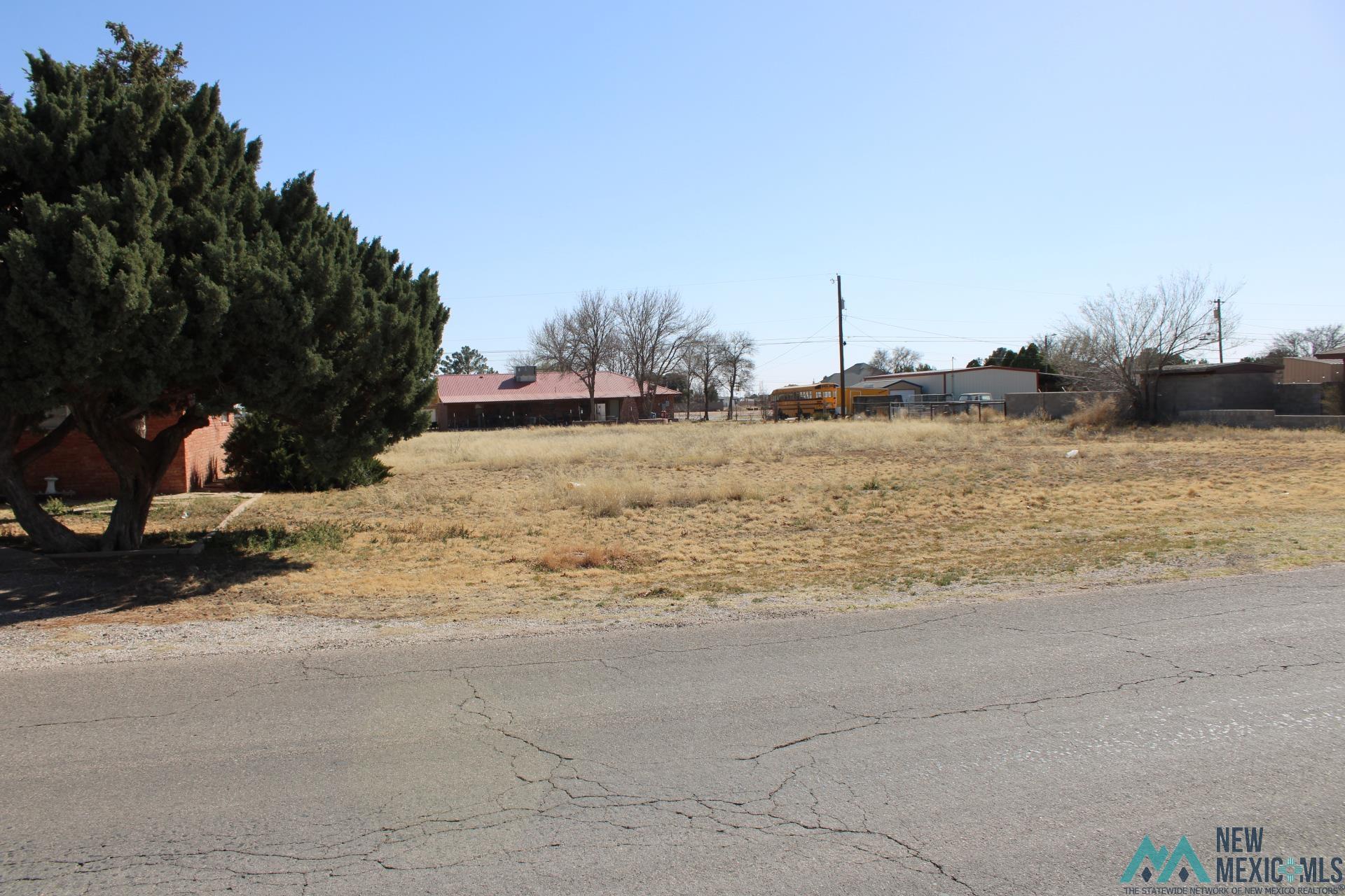 401 W Eva Street, Hobbs, New Mexico image 7
