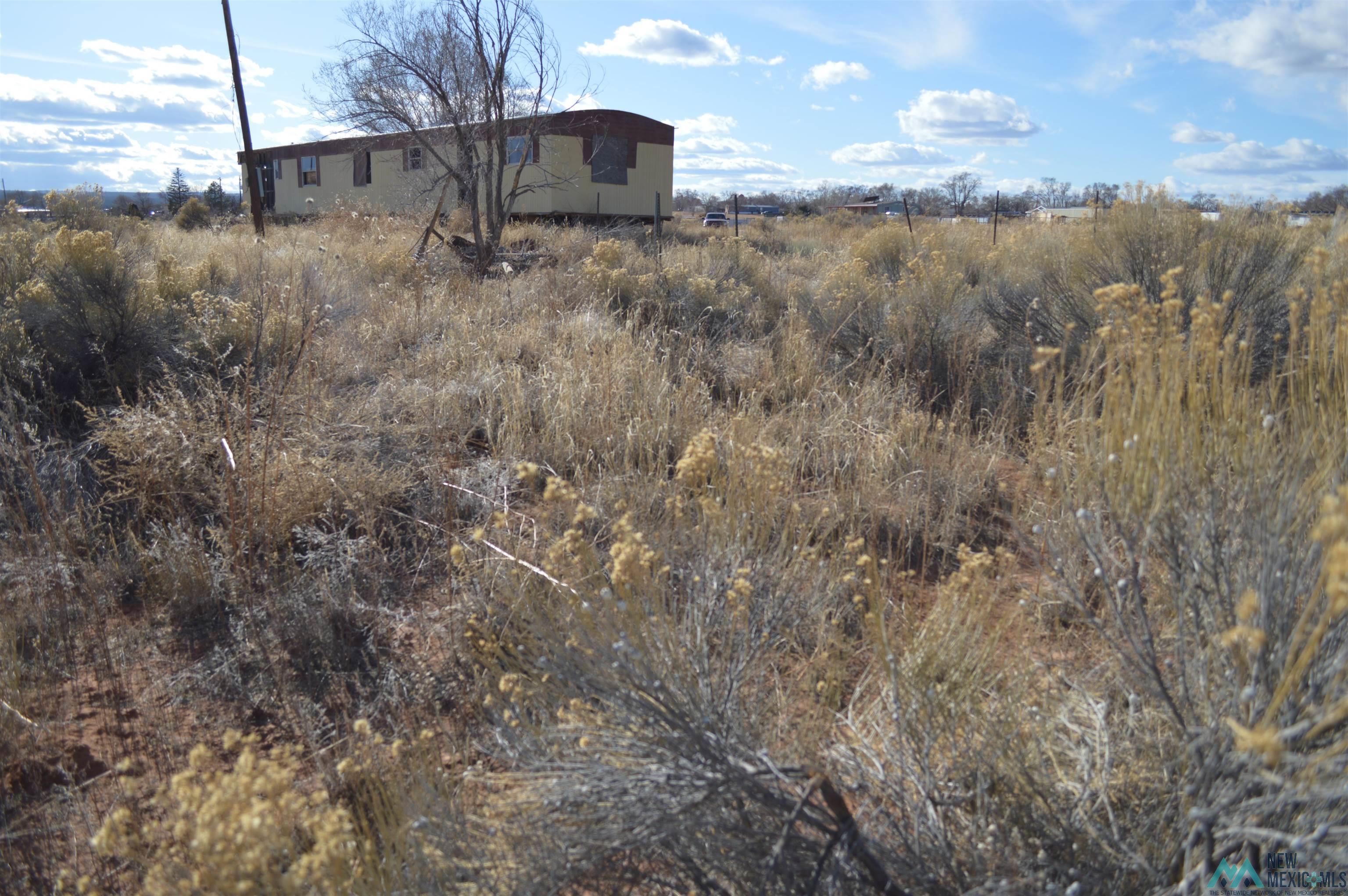 LOT 100 Tbd Primerose Place, Thoreau, New Mexico image 14