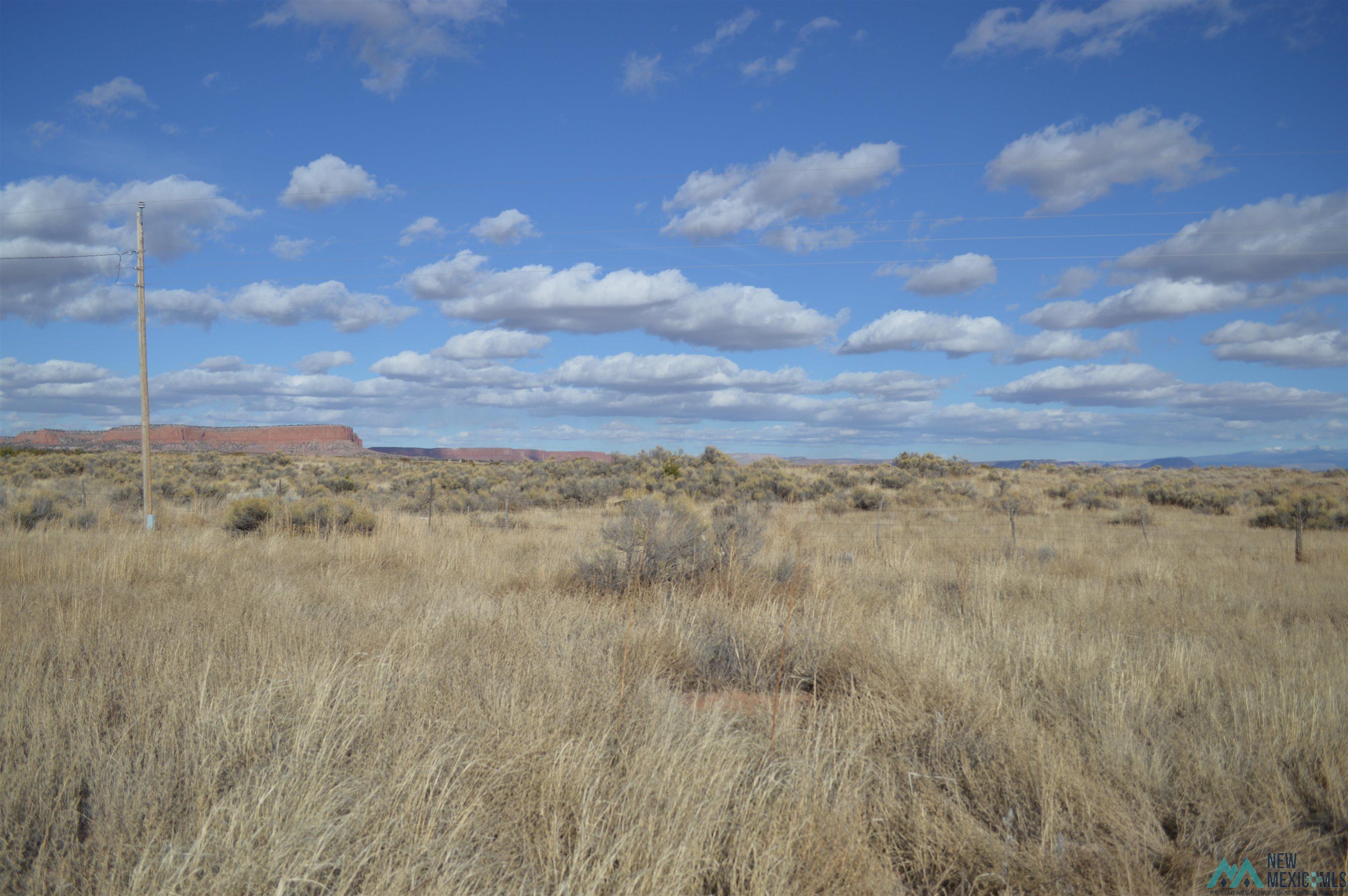 LOT 100 Tbd Primerose Place, Thoreau, New Mexico image 10