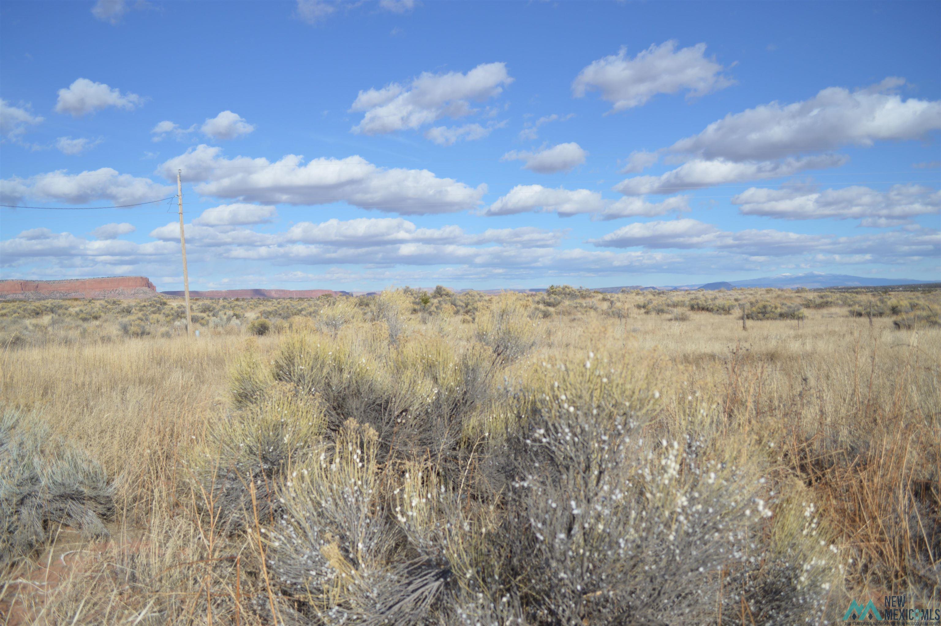 LOT 100 Tbd Primerose Place, Thoreau, New Mexico image 9
