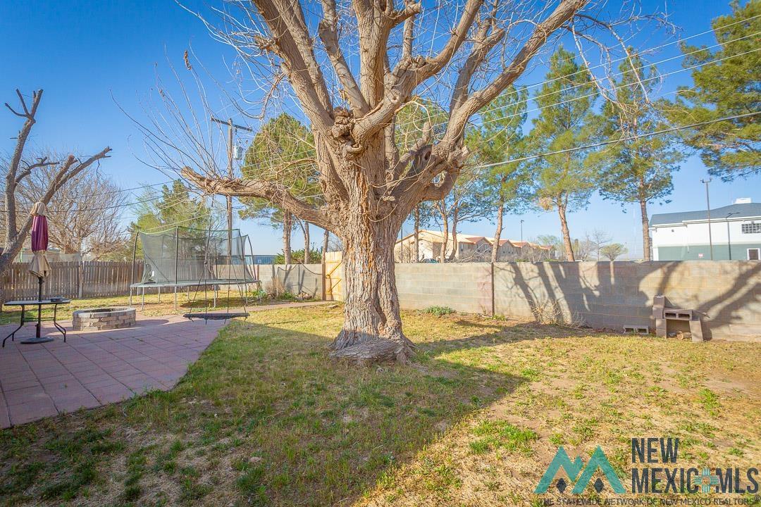 3504 Bandolina Avenue, Roswell, New Mexico image 35