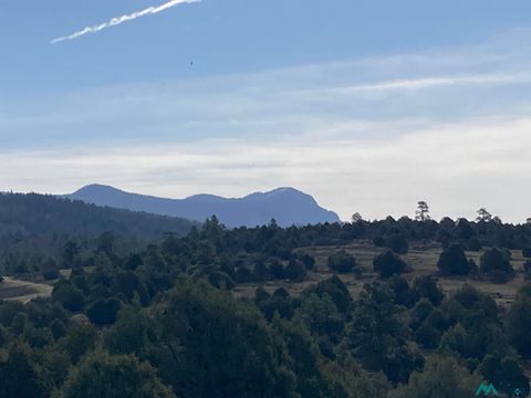 Vacant Land For Sale - TBD Cr 341<br/> Rio Arriba County, Chama, NM 87520