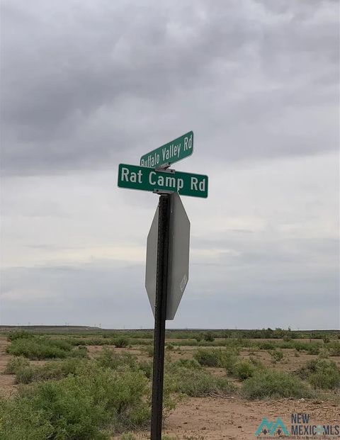 Vacant Land For Sale - 1384 Rat Road<br/> Chaves County, Lake Arthur, NM 88253