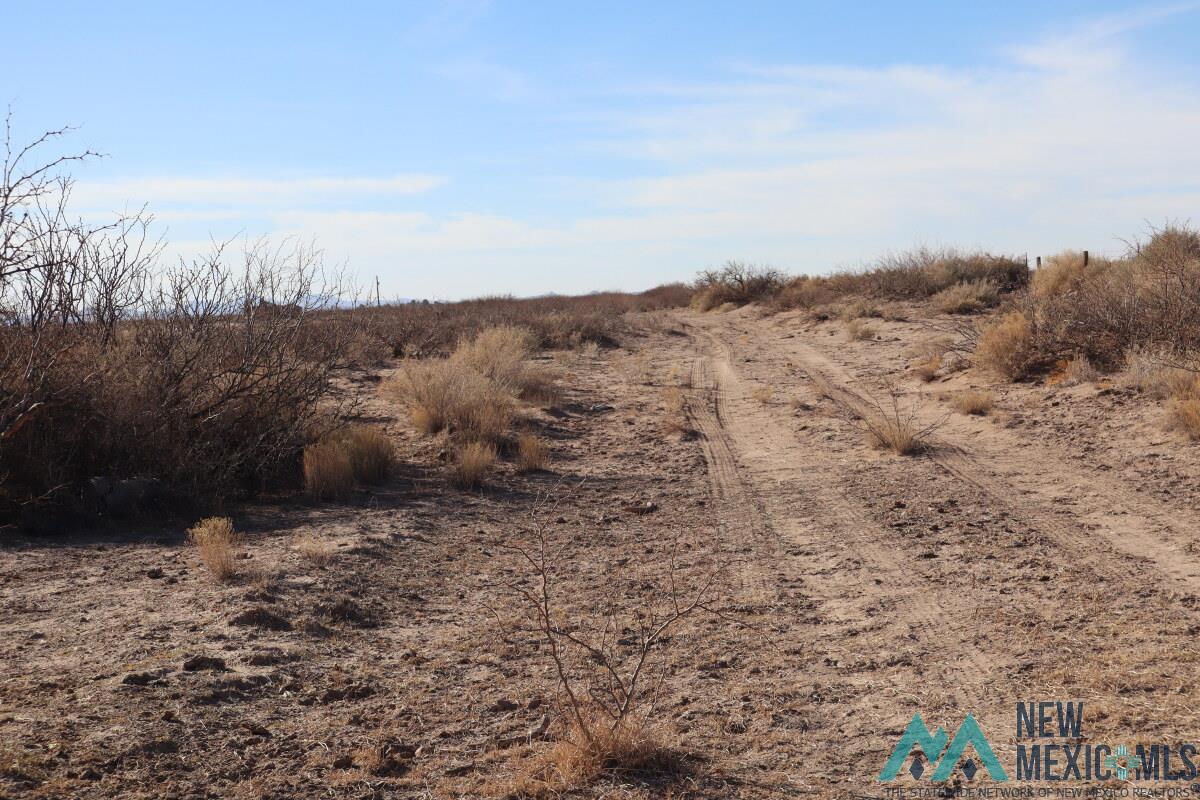 Sierra Lane Sw, Deming, Texas image 8