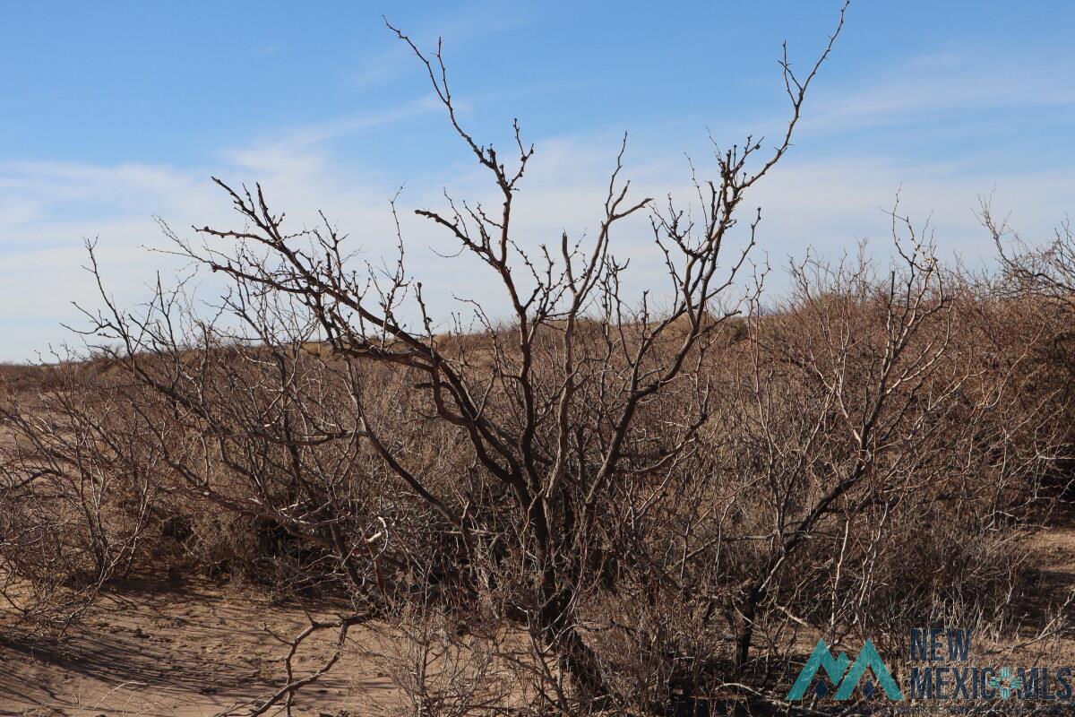 Sierra Lane Sw, Deming, Texas image 7