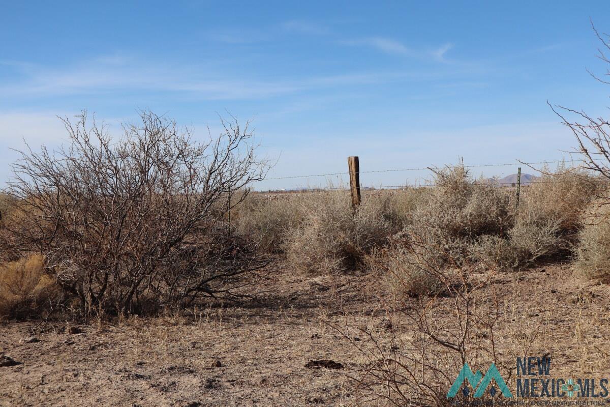 Sierra Lane Sw, Deming, Texas image 9