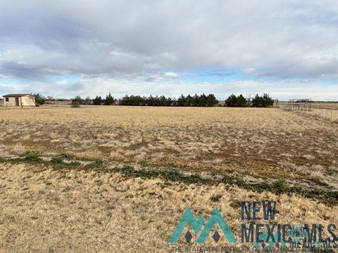 Vacant Land For Sale - 000TBD S Roosevelt Road 6 Road<br/> Portales, NM 88130