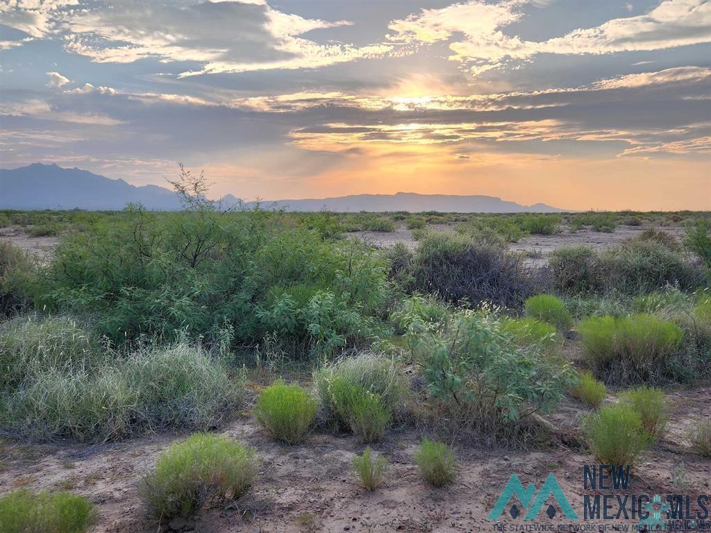 Apache Rd Se Road, Deming, New Mexico image 2