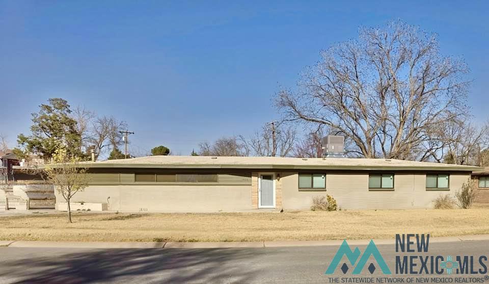 1422 S Country Circle, Carlsbad, Texas image 1