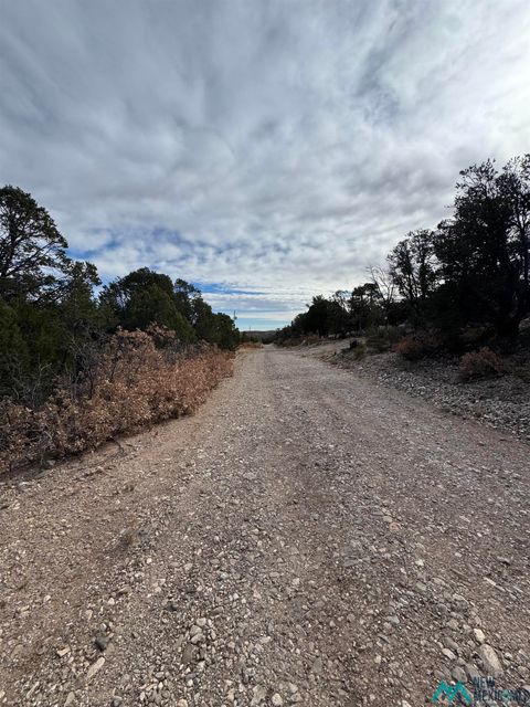Vacant Land For Sale - LOT 217 Trout Drive<br/> Timberon, NM 88350