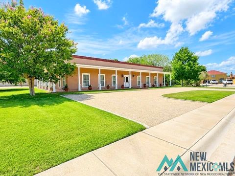 Homes For Sale - 1531 La Vina Court<br/> Carlsbad, NM 88220