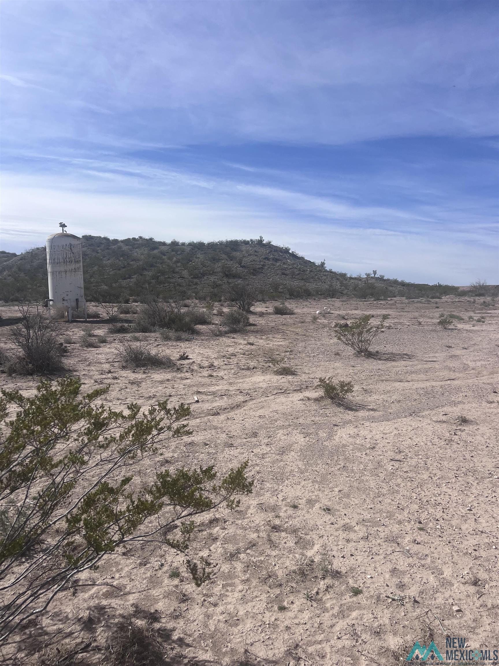 Lot 1 & 2 Trujillo Creek Road, Arrey, New Mexico image 2