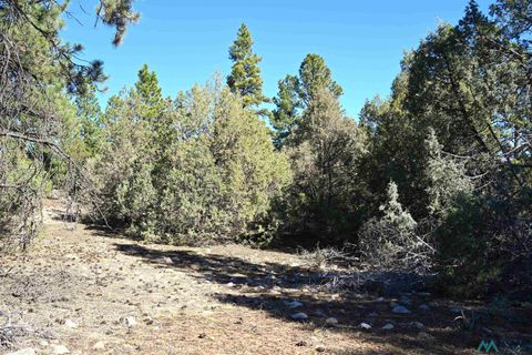 Vacant Land For Sale - 00 Nm Sr 64 Highway<br/> Tierra Amarilla, NM 87575