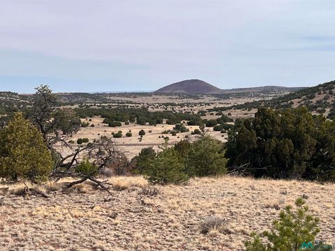 Vacant Land For Sale - 292  LOT 47 Cimarron Drive<br/> Quemado, NM 87829