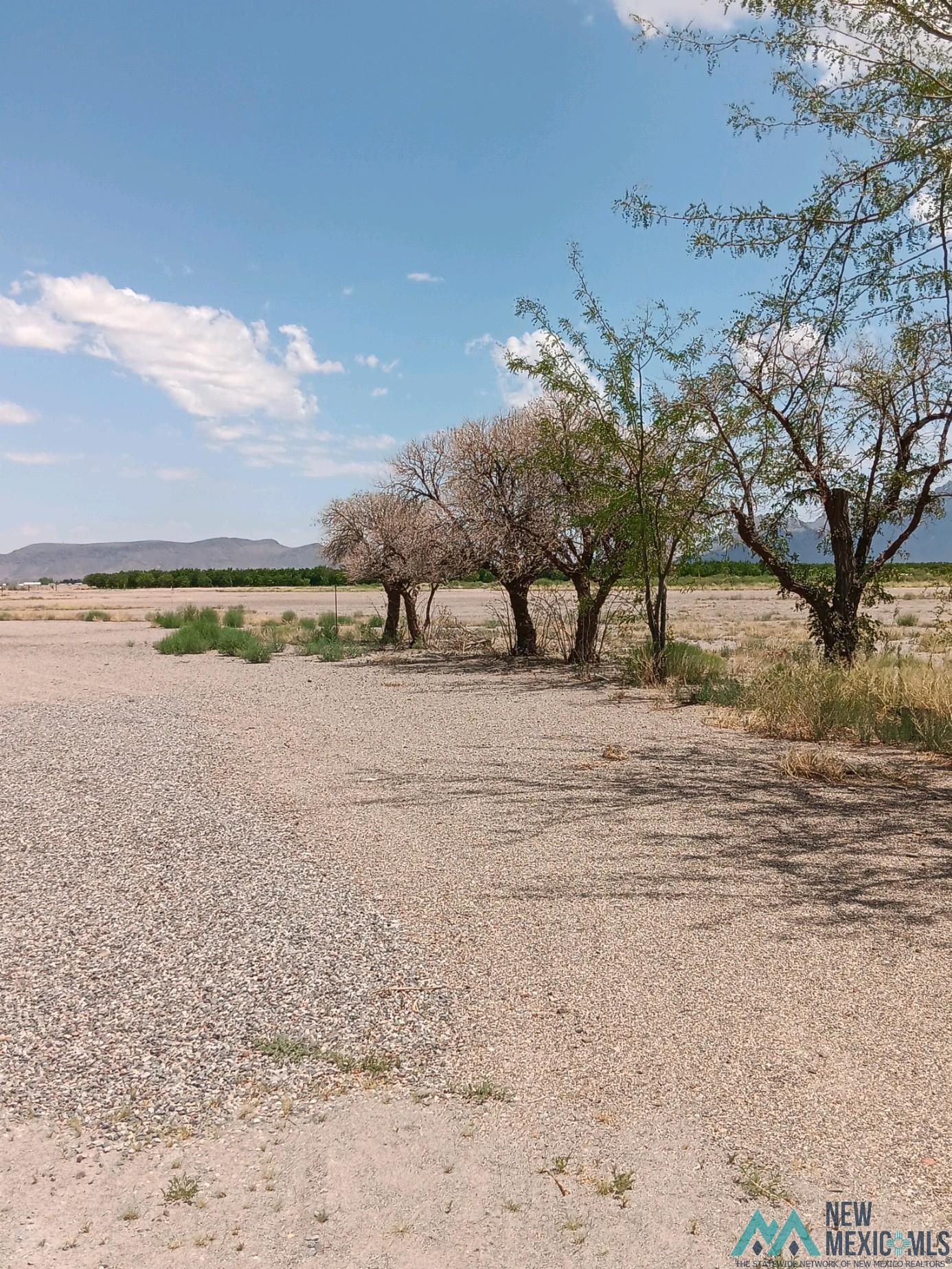 560 Okelly Rd Se Road, Deming, New Mexico image 20