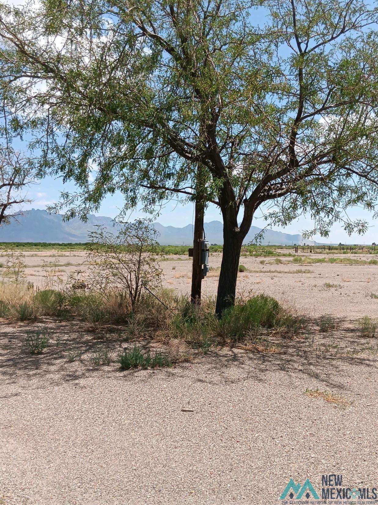 560 Okelly Rd Se Road, Deming, New Mexico image 19
