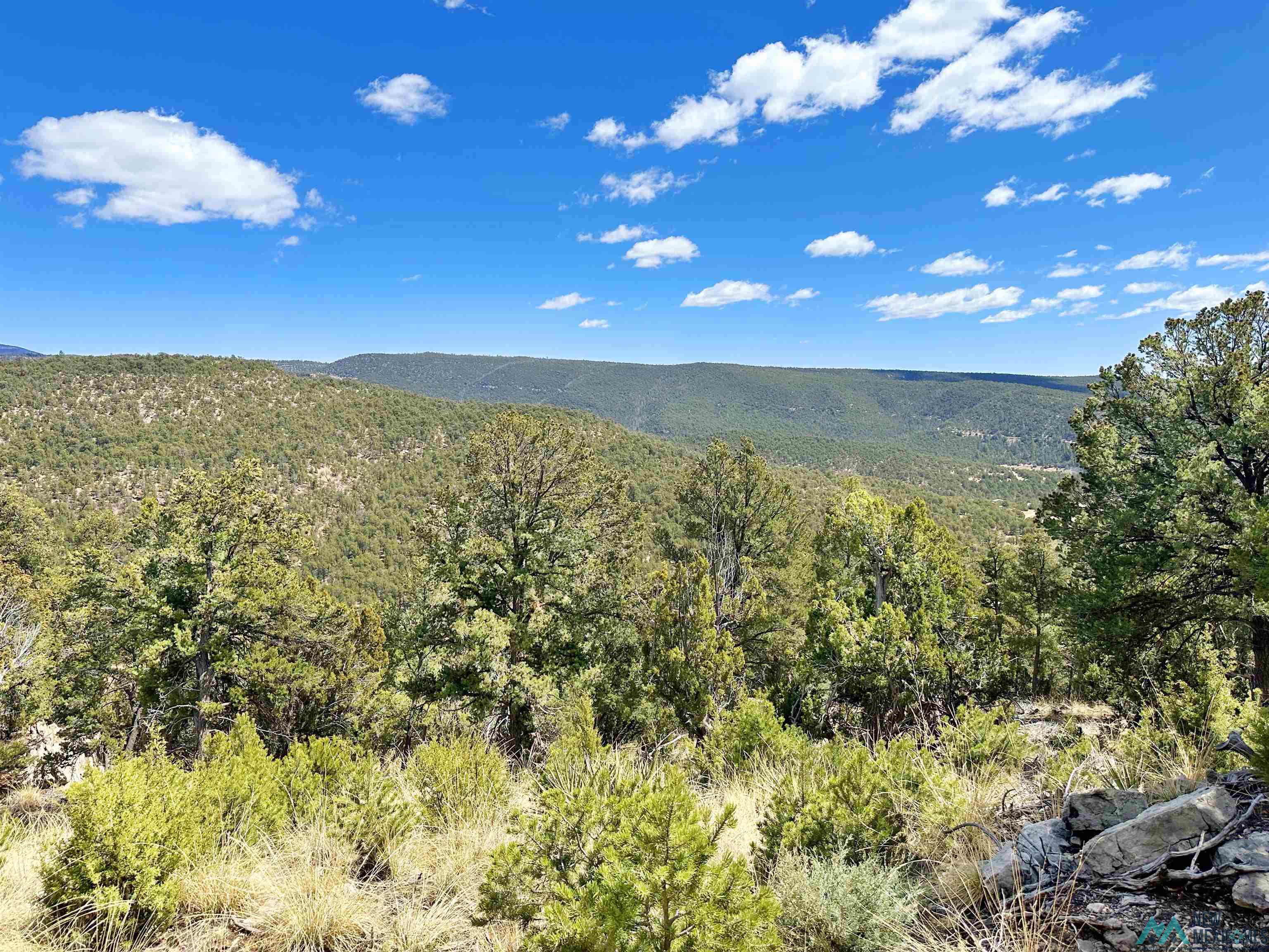 53 County Road B44c, Pecos, Texas image 41
