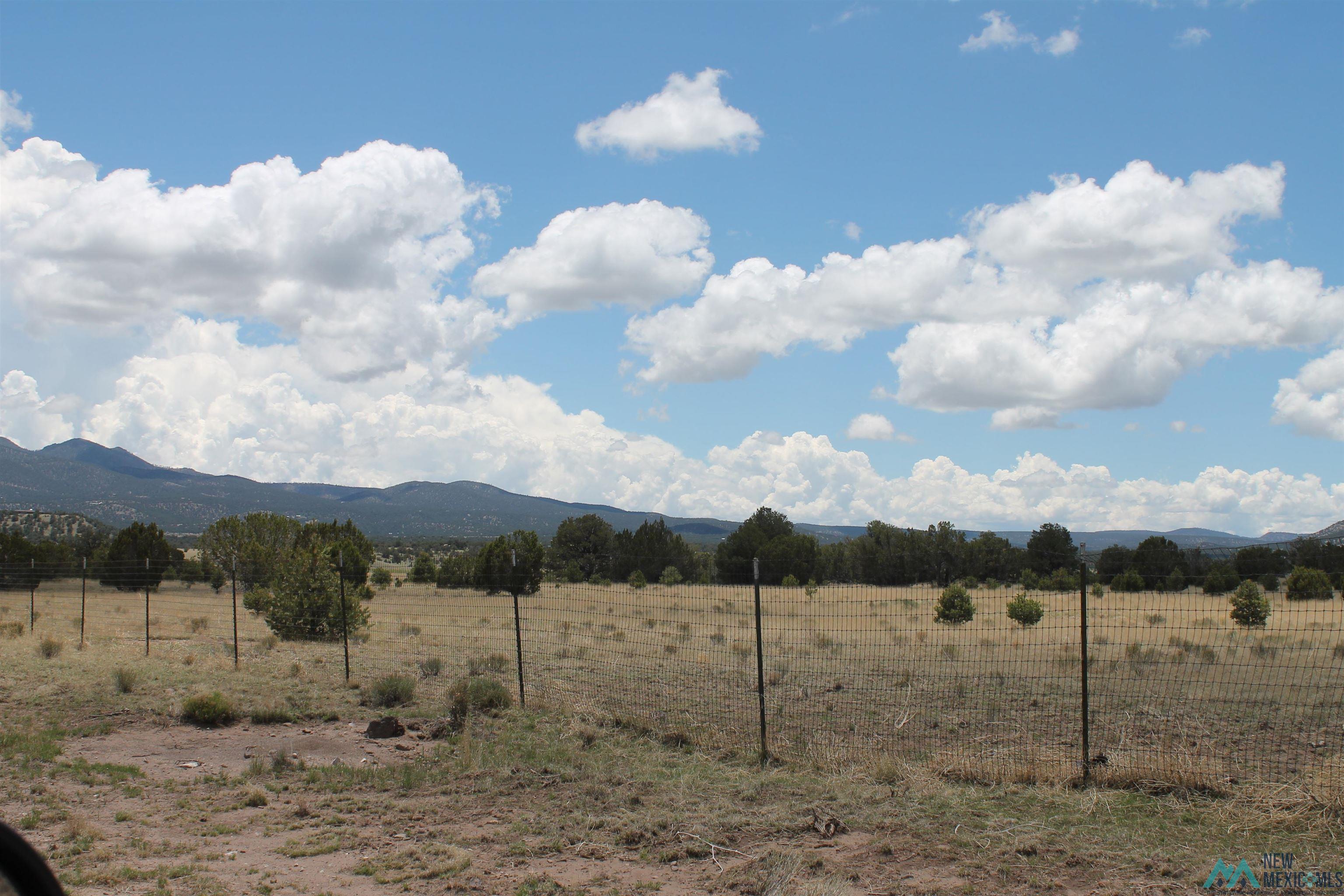 1020 Greens Gap Road, Datil, New Mexico image 7