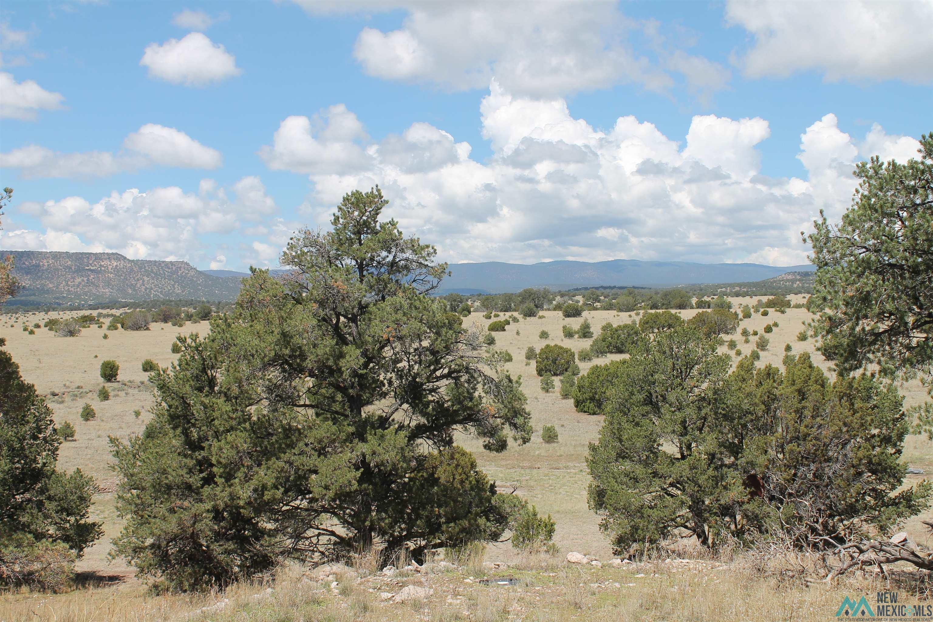 1020 Greens Gap Road, Datil, New Mexico image 8