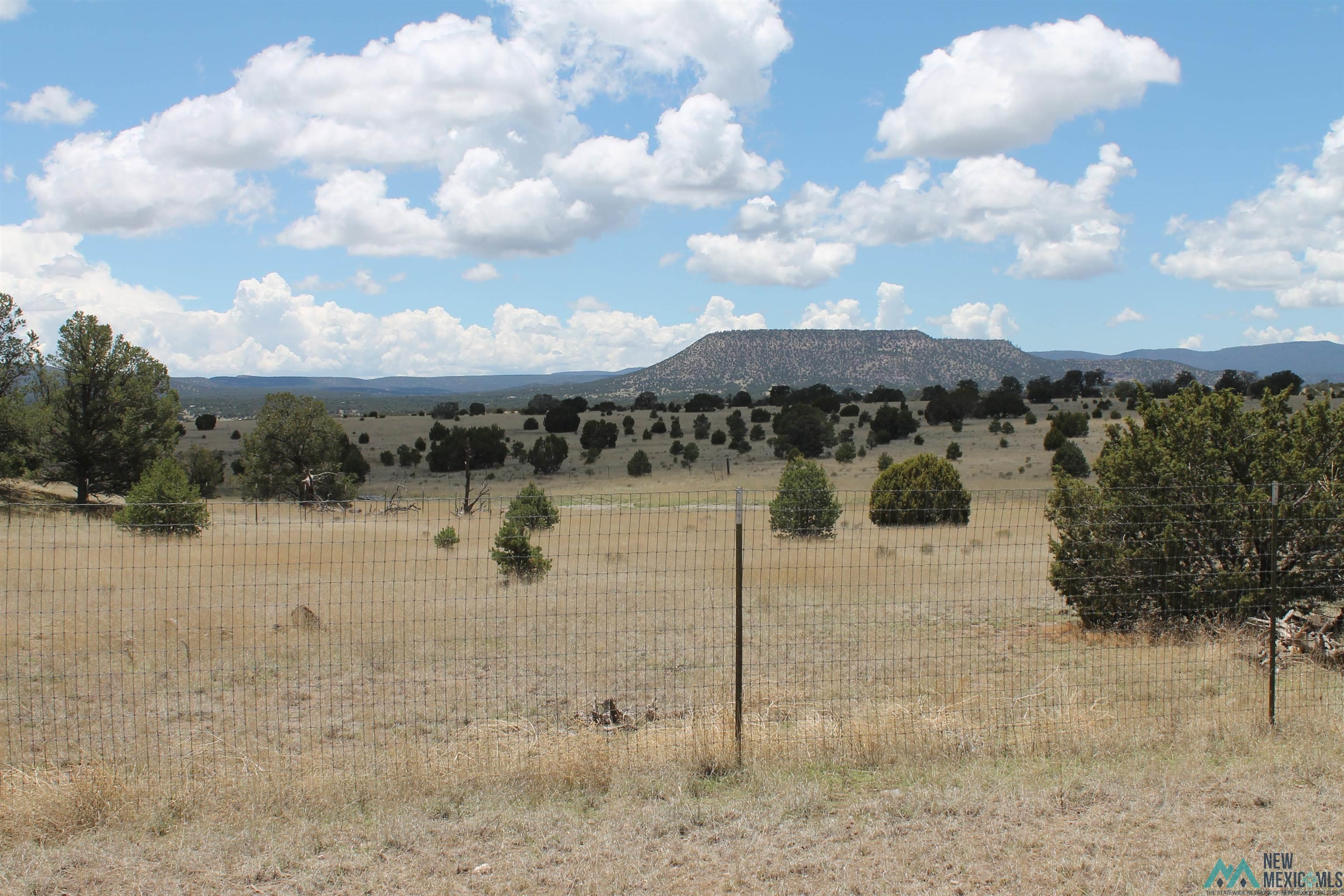 1020 Greens Gap Road, Datil, New Mexico image 9