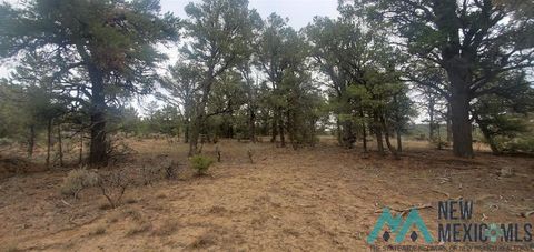 Vacant Land For Sale - Cr 322 Drive<br/> Los Ojos, NM 87551