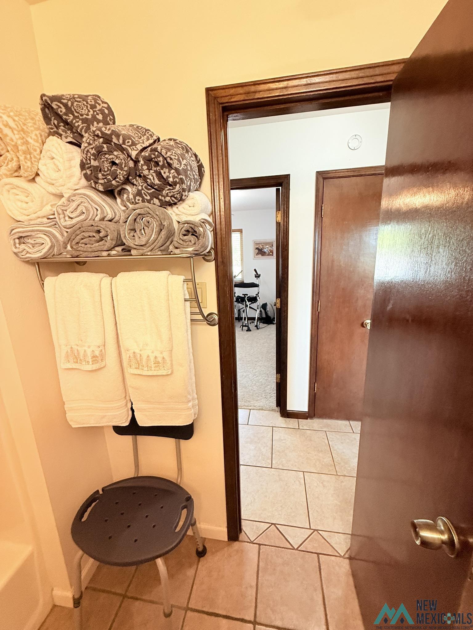 408 Stagecoach Drive, Elephant Butte, New Mexico image 28