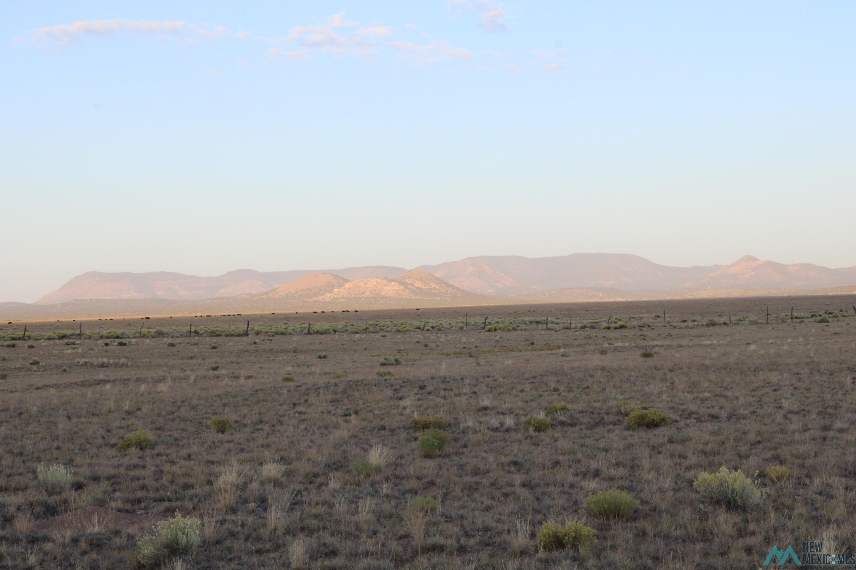 Wheeler Place Guin Ranch Road, Magdalena, New Mexico image 8