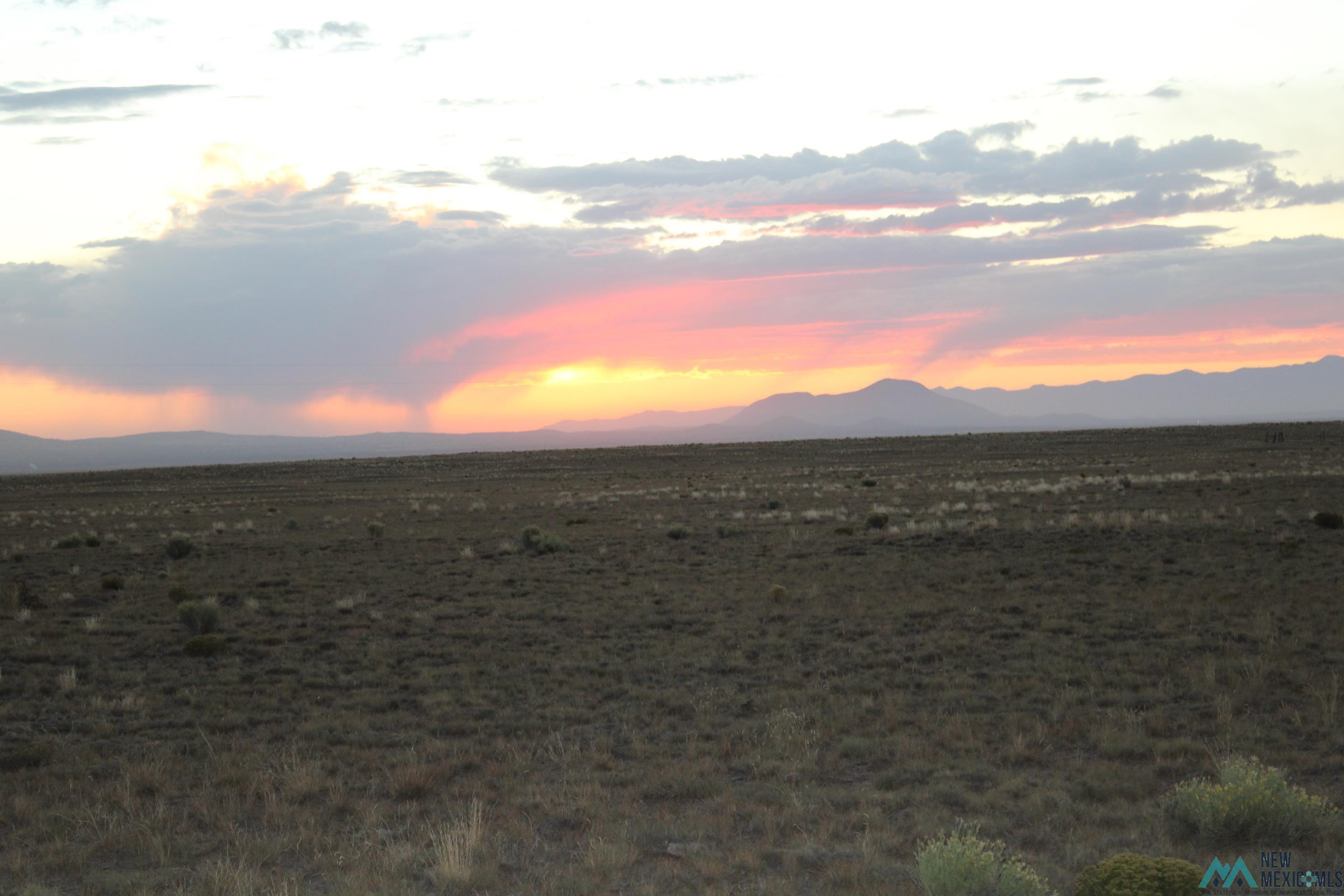 Wheeler Place Guin Ranch Road, Magdalena, New Mexico image 2