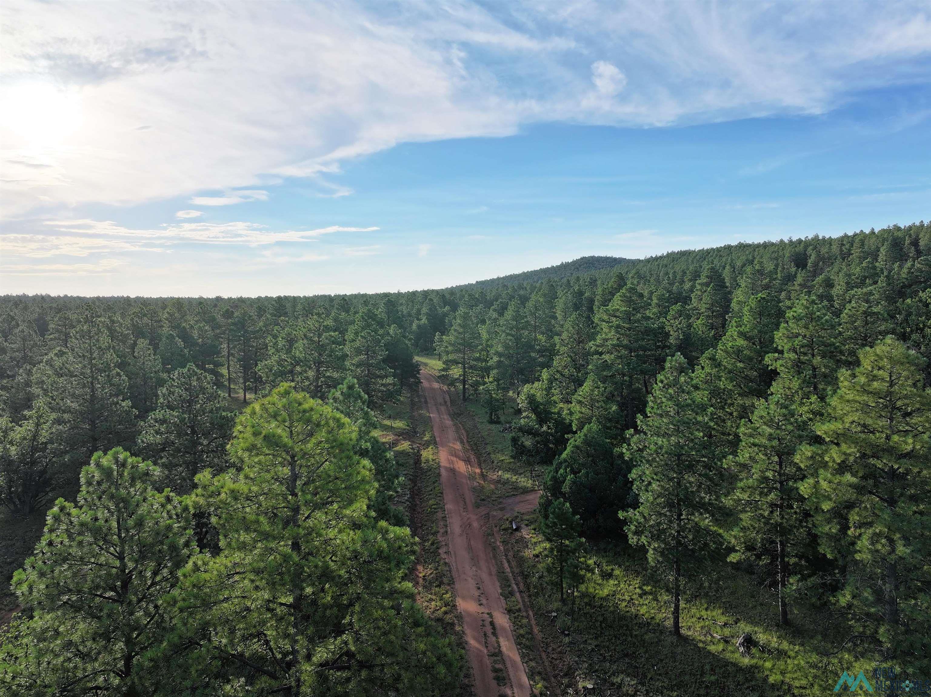 000 Forest Road 157, Bluewater, Texas image 11