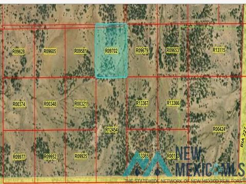Vacant Land For Sale - LOT 42 La Tinaja Trail<br/> Pinehill, NM 87357