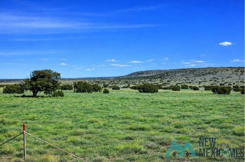 Vacant Land For Sale - 124 Deer Road<br/> Quemado, NM 87829