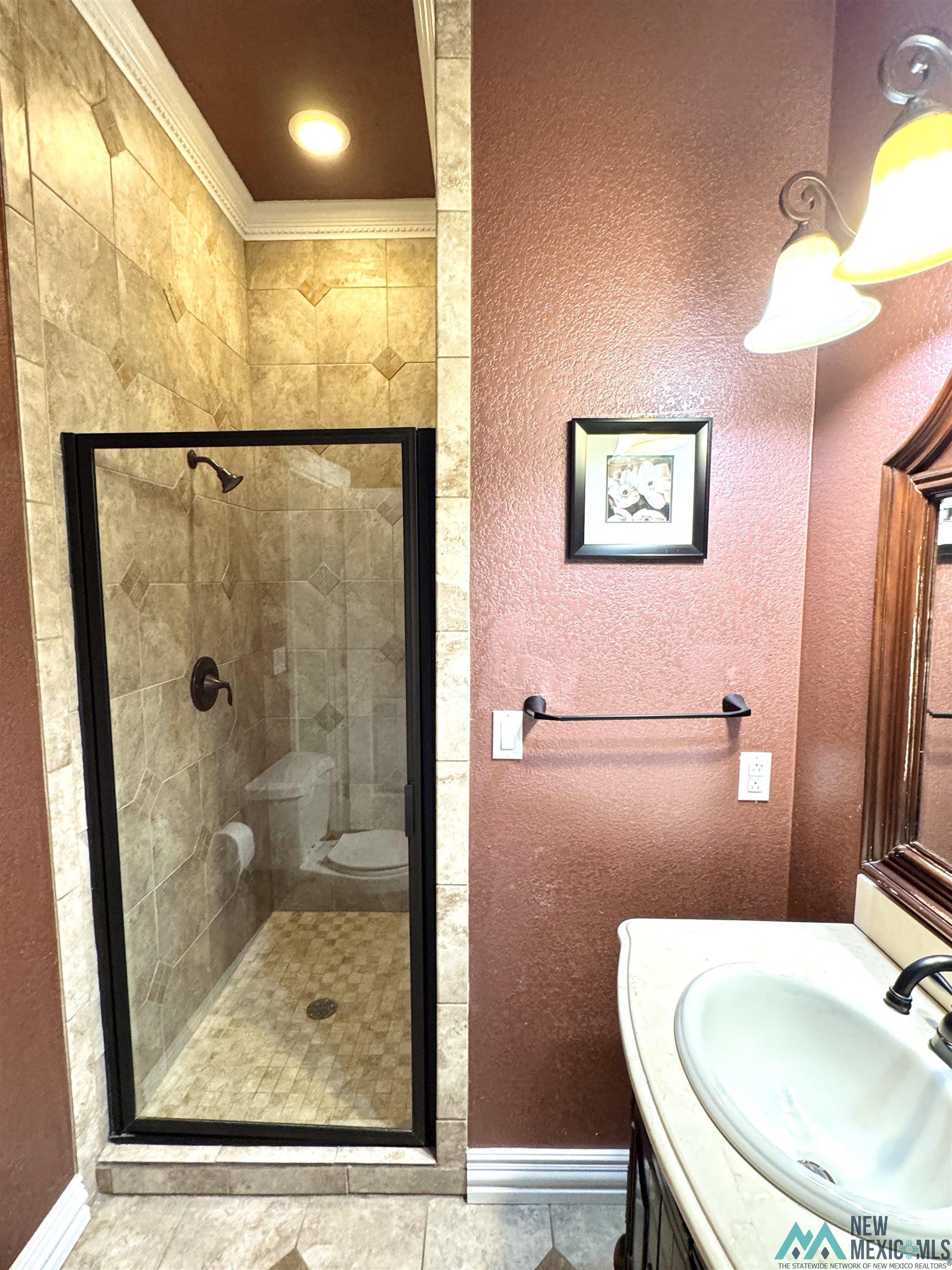 205 Sandpiper Court, Clovis, New Mexico image 38