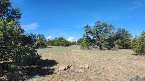 Vacant Land For Sale - TBD Tonto Road<br/> Quemado, NM 87829