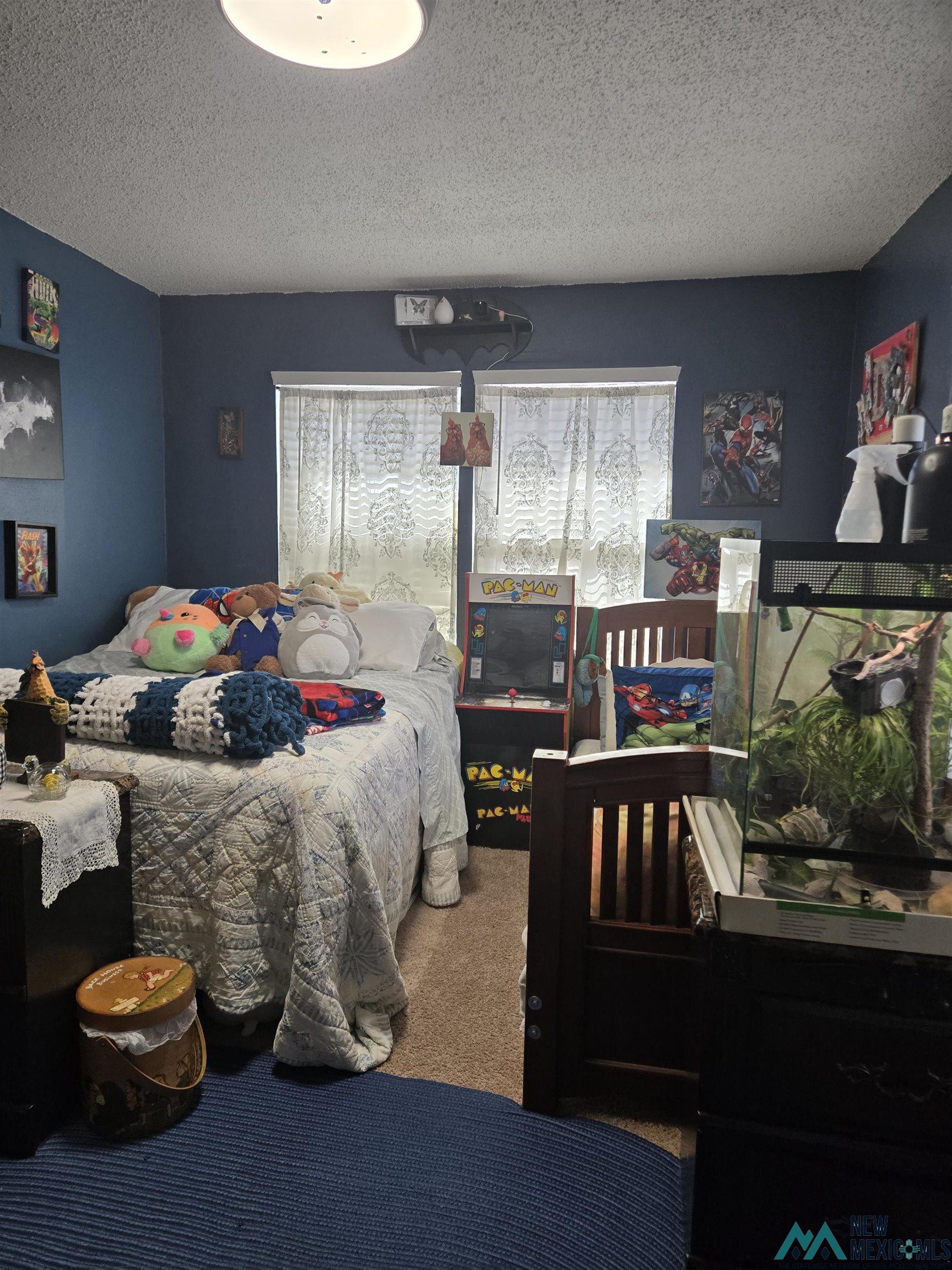 2508 Sheldon Street, Clovis, Texas image 13