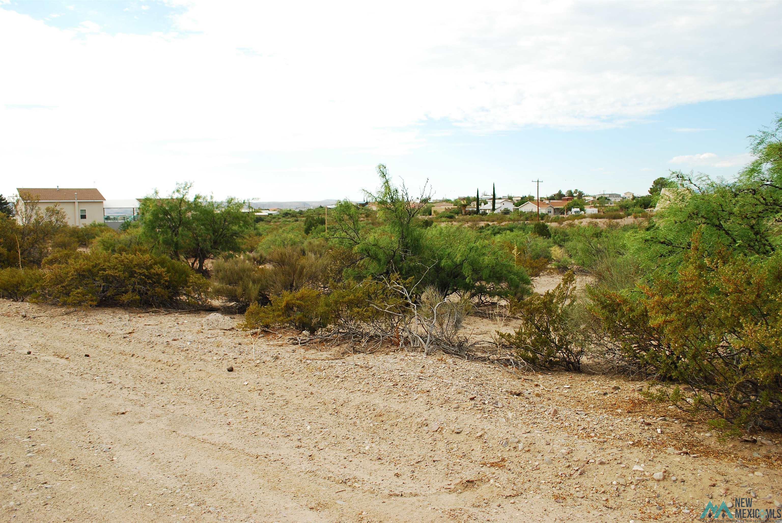 204 Cimarron, Elephant Butte, New Mexico image 5