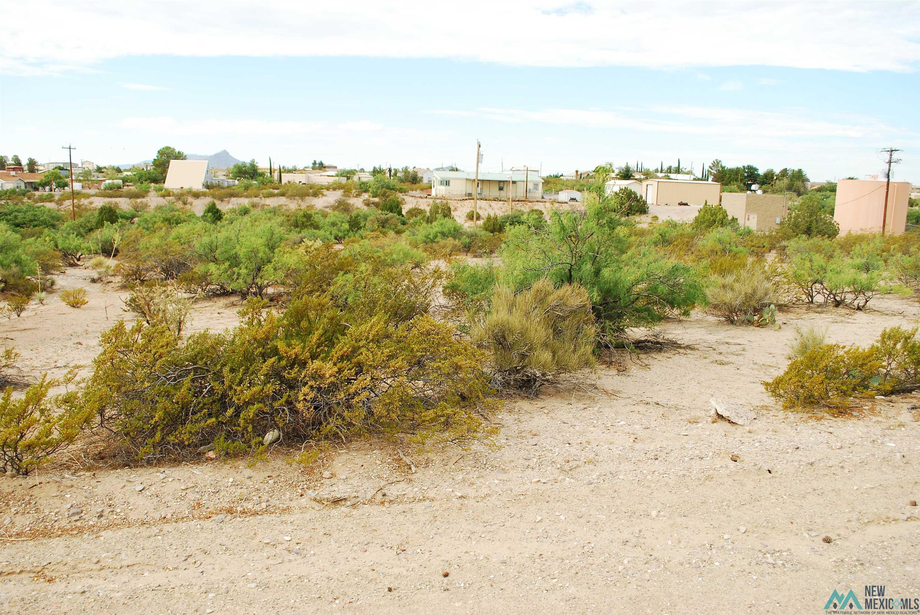 204 Cimarron, Elephant Butte, New Mexico image 3