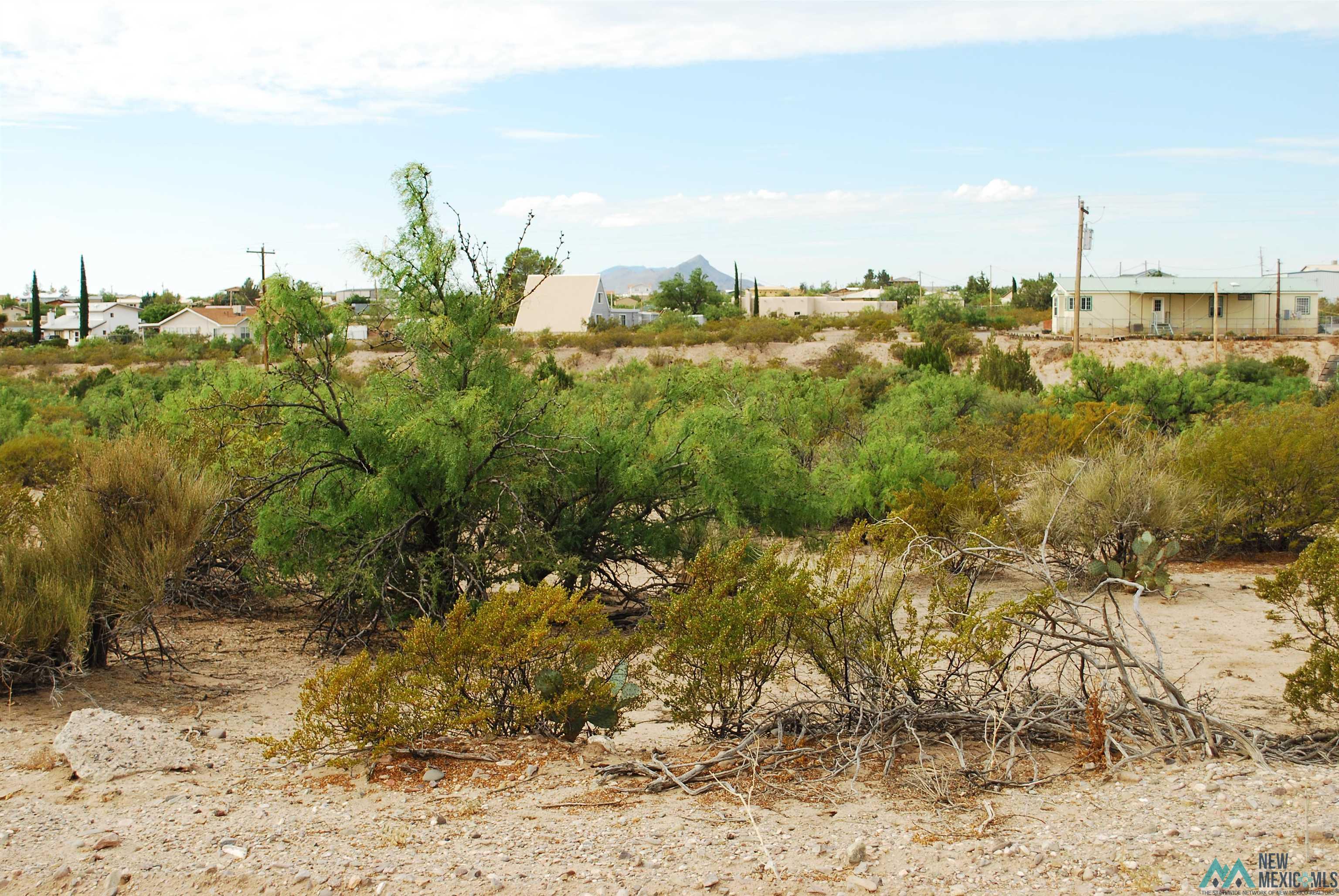 204 Cimarron, Elephant Butte, New Mexico image 4