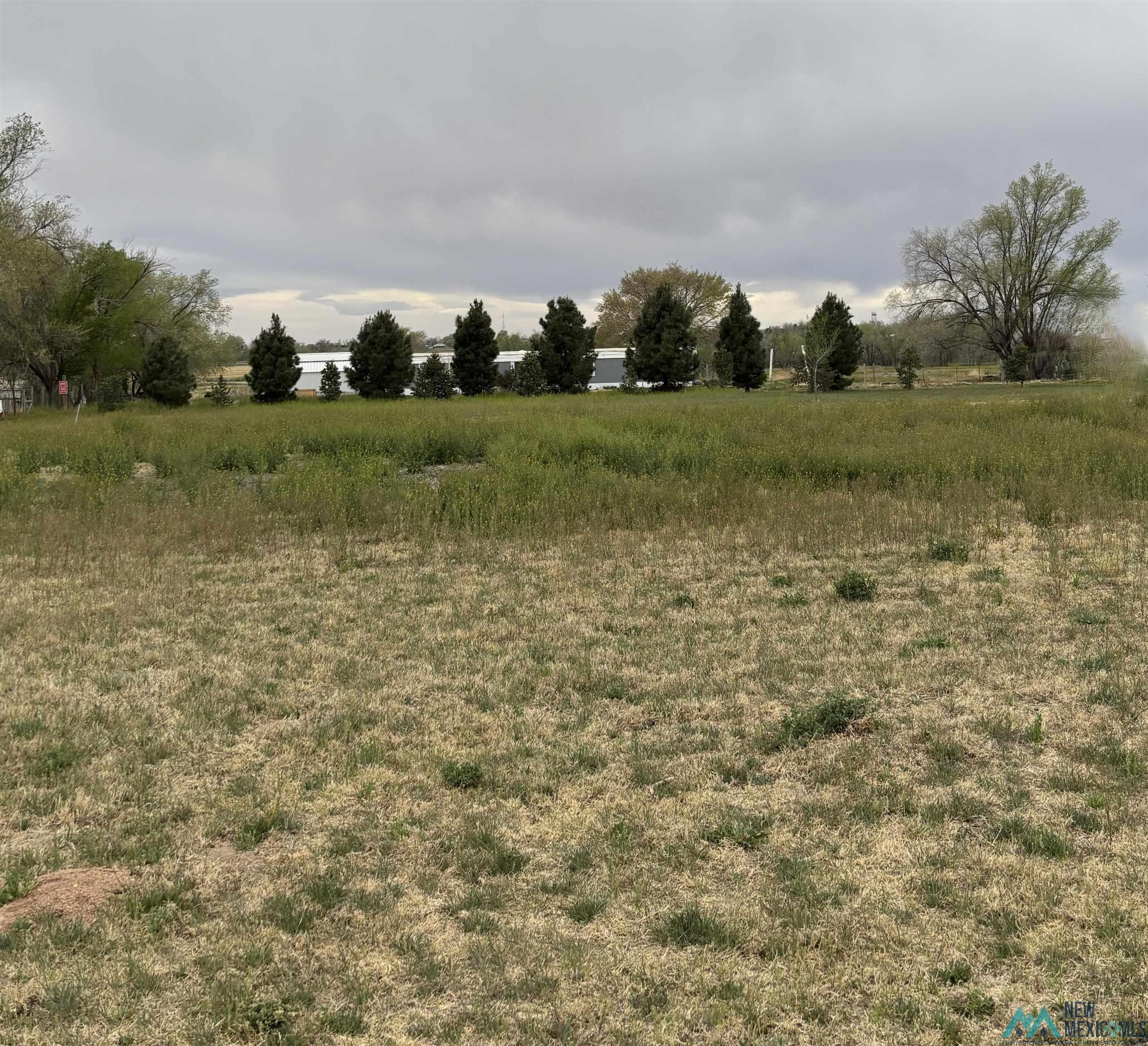 1800 E College Boulevard, Roswell, New Mexico image 3