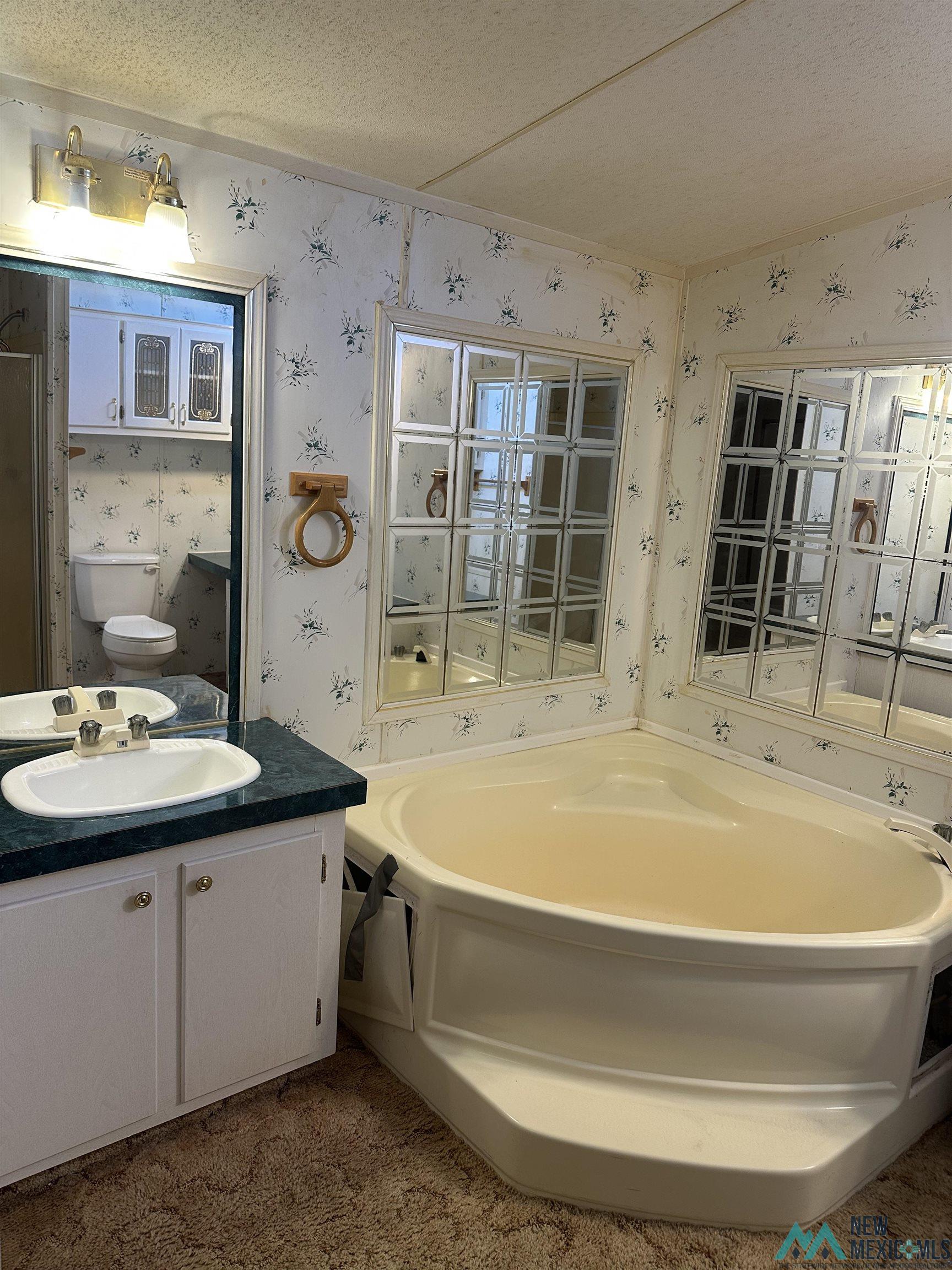 4206 Mill Rd Nw Rd, Deming, Texas image 23