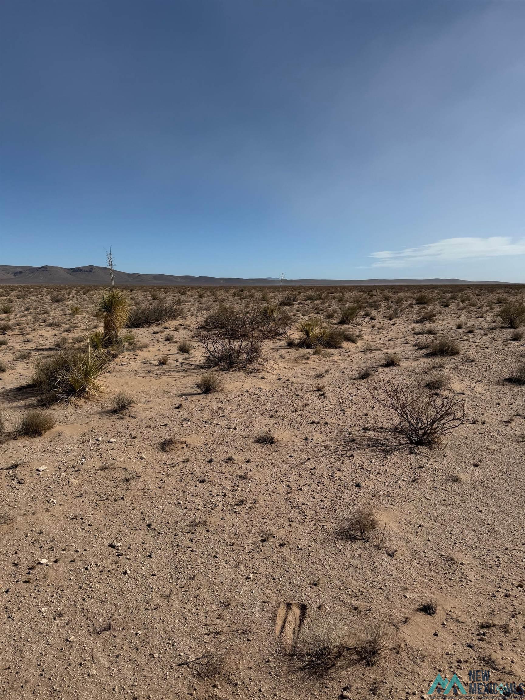000 Solo Runway Road, Deming, New Mexico image 3