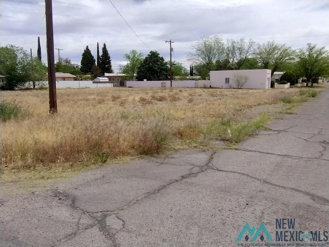 00 W Elm Street, Deming, New Mexico image 4